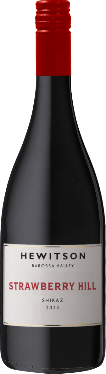 Shiraz 2023 — Barossa Valley